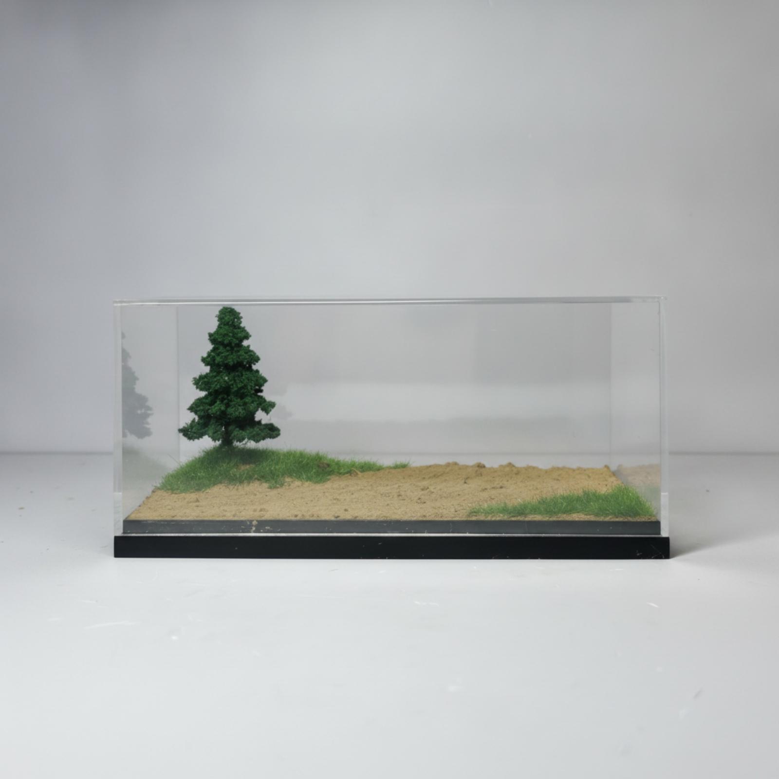 Espositore per Modellini da Co - Display Case Acrylic recensione e prezzo